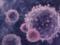 Обнаружена часть коронавируса, атакующая клетки человека