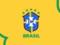 В Бразилии прервали все национальные футбольные турниры из-за коронавируса