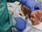 Scientists have discovered how coronavirus defends itself from the immune system