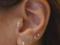 Numerous Ear Piercings: Parsing a New Trend