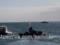 Утонувший у Керчи бронетранспортер оккупантов не могут поднять со дна