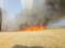 В Луганской области сгорело 40 га пшеницы