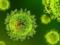 Вирусы используют стратегию приманки, чтобы уклониться от иммунной системы