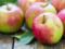 Обнаружена новая польза яблок: спасают от рассеянного склероза