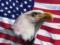 Помпео: США готовы помочь Евросоюзу расследовать отравление Навального
