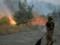 Пылающий ад на Луганщине: кто ответит за погибших