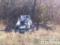 Под Харьковом два автовора угнали и сожгли машину