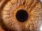 Cornea resists infection with the new coronavirus