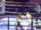 Жуткий нокаут: боксерша жестоко  вырубила  соперницу в первом раунде