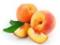 Орех грецкий, пальма, персик: описание базисных эфирных маcел