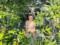 Тоня Матвиенко показала фигуру в купальнике в мангровых зарослях
