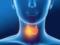 Влияние щитовидной железы на физиологическое состояние симпатической нервной системы