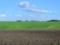 The Verkhovna Rada approved the sale of land plots through electronic auctions