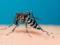 Ученые: комары могут стать круглогодичной проблемой