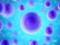 Как долго защищает иммунитет после лёгкого течения КОВИД-19