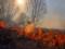 В Украине объявили чрезвычайный уровень пожарной опасности в восточной и южной областях