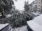 Snowy Sunday in Kemerovo