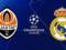 УЕФА назначил арбитра на матч Лиги чемпионов  Шахтер  –  Реал 