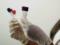 Вчені наблизилися до створення вакцини від РСВ