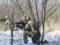 16-е сутки сопротивления российским захватчикам: Генштаб ВСУ сообщил оперативные данные по состоянию на утро