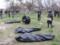 Эксперты-криминалисты из Словакии будут помогать расследовать военные преступления РФ - Венедиктова