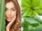 Aloe Vera Beauty Benefits and Uses