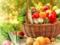 Які проблеми з організмом здатне викликати вживання салату з огірків і помідорів