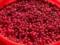 Indications: lingonberry sik helps to lower high arterial pressure
