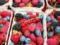 Дієтолог розповіла, як фруктами та ягодами не нашкодити організму