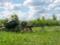 War, day 138. Warehouse of ammunition was reduced near Timchas’s settlement of Novy Kakhovtsi in Kherson region