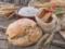 What will become of you as you see the white bread