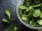 A nutritionist named brain vitamins