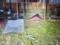 Occupants covered with fire three bulks of Dnepropetrovsk region. Krasnogrigorevskaya got the most