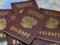 Putin s decree on Russian citizenship in the occupied territories will not have any legal consequences - MFA