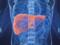 Scientists have learned to turn the liver of a pig into a human
