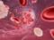 High levels of cholesterol contribute to a rush of blood to the intestines