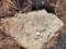 Message written in ancient Greek found in Tajikistan