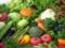 Therapeutic nutrition of patients after pancreatic surgery