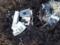 In the wreckage of rockets that fell in Moldova, 80 kg of explosives were found - the Ministry of Internal Affairs of the countr
