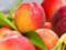 Fruits help keep your stomach healthy