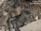 In Kherson, the occupiers attacked a critical infrastructure enterprise