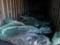 For a day, the Armed Forces of Ukraine eliminated six hundred invaders: the General Staff reported the loss of the enemy