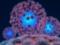 Viruses have their own immune system