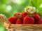 The Right Diet Reduces PMS Symptoms by 40 Percent