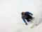Freestyle skiing world champion dies in avalanche