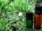 Phytotherapy for salpingoophoritis
