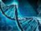 US scientists discover bacteria that cause obesity