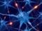Новый мозговой имплант улучшает память человека
