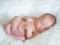 in vitro fertilization