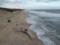 Після 15 років дискусій в ООН погодили угоду про захист відкритого моря